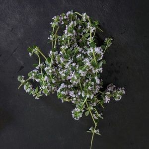 Meet your Posher, Thyme for deals